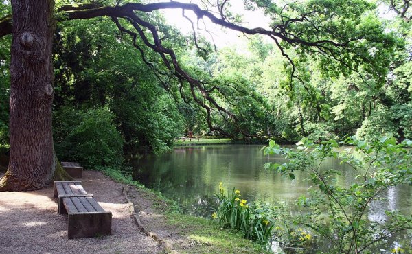 Sárvári arborétum