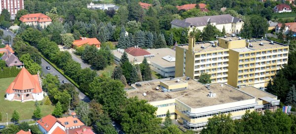 6931 Heviz madartavlatbol H.Szabo Sandor felvetele