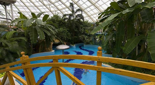 aquaticum-virtualis1